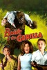 Poster for 