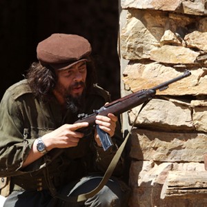 Benicio Del Toro as Che.