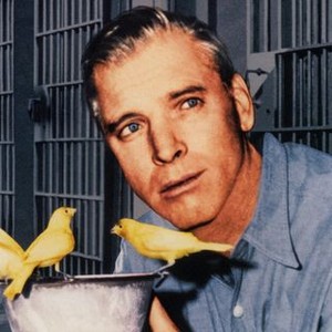 Birdman of Alcatraz photo 12