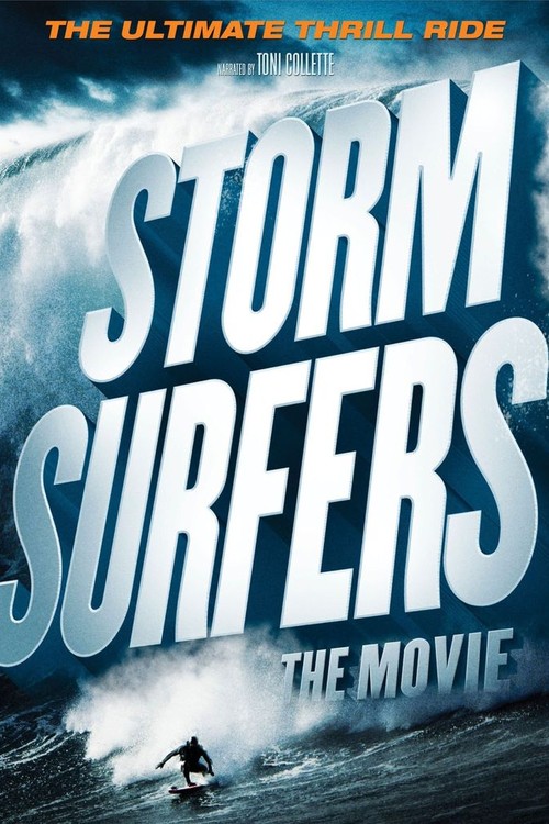 Storm Surfers poster