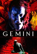 Gemini poster image