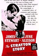 The Stratton Story poster image