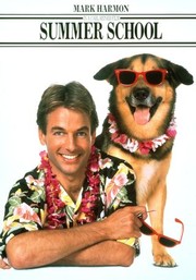 Beau Starr Rotten Tomatoes