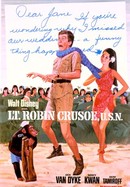 Lt. Robin Crusoe, U.S.N. poster image