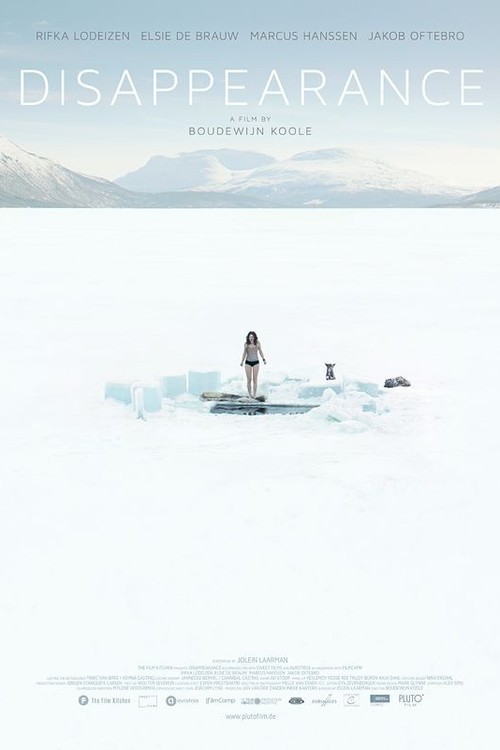 Disappearance poster