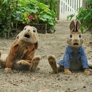 Peter Rabbit - Rotten Tomatoes