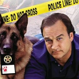 K-9: P.I. photo 4