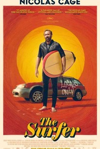www.rottentomatoes.com