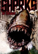 Sharks in Venice poster image