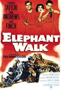 Poster for Elephant Walk