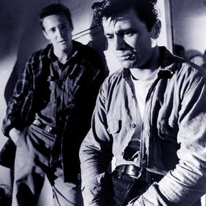 In Cold Blood (1967) photo 10