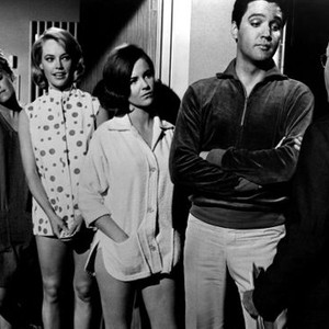 GIRL HAPPY, Chris Noel, Shelley Fabares, Elvis Presley, John Fiedler, 1965