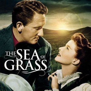 The Sea of Grass photo 10