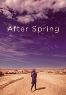 After Spring poster image