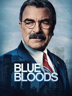 Blue bloods season 9 netflix store