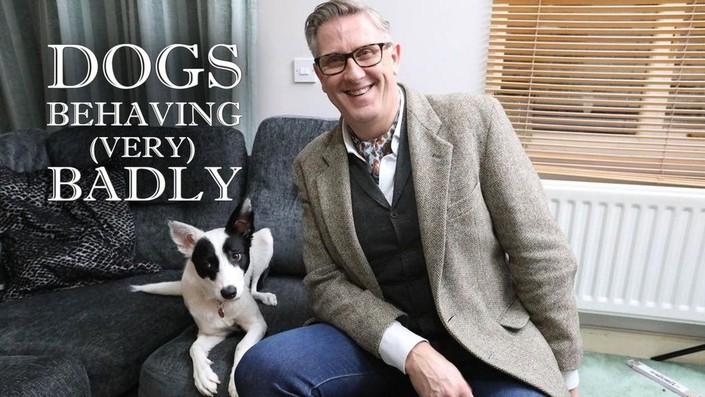 Dogs Behaving Very Badly Season 1 Rotten Tomatoes