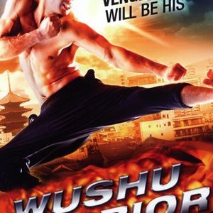 Wushu Warrior (2010) photo 5