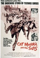 Cat Murkil and the Silks poster image
