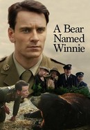 A Bear Named Winnie poster image