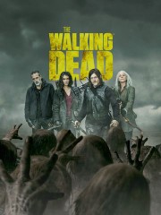 The Walking Dead: Season 11 poster image