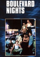 Boulevard Nights poster image