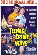 Teen-age Crime Wave poster image