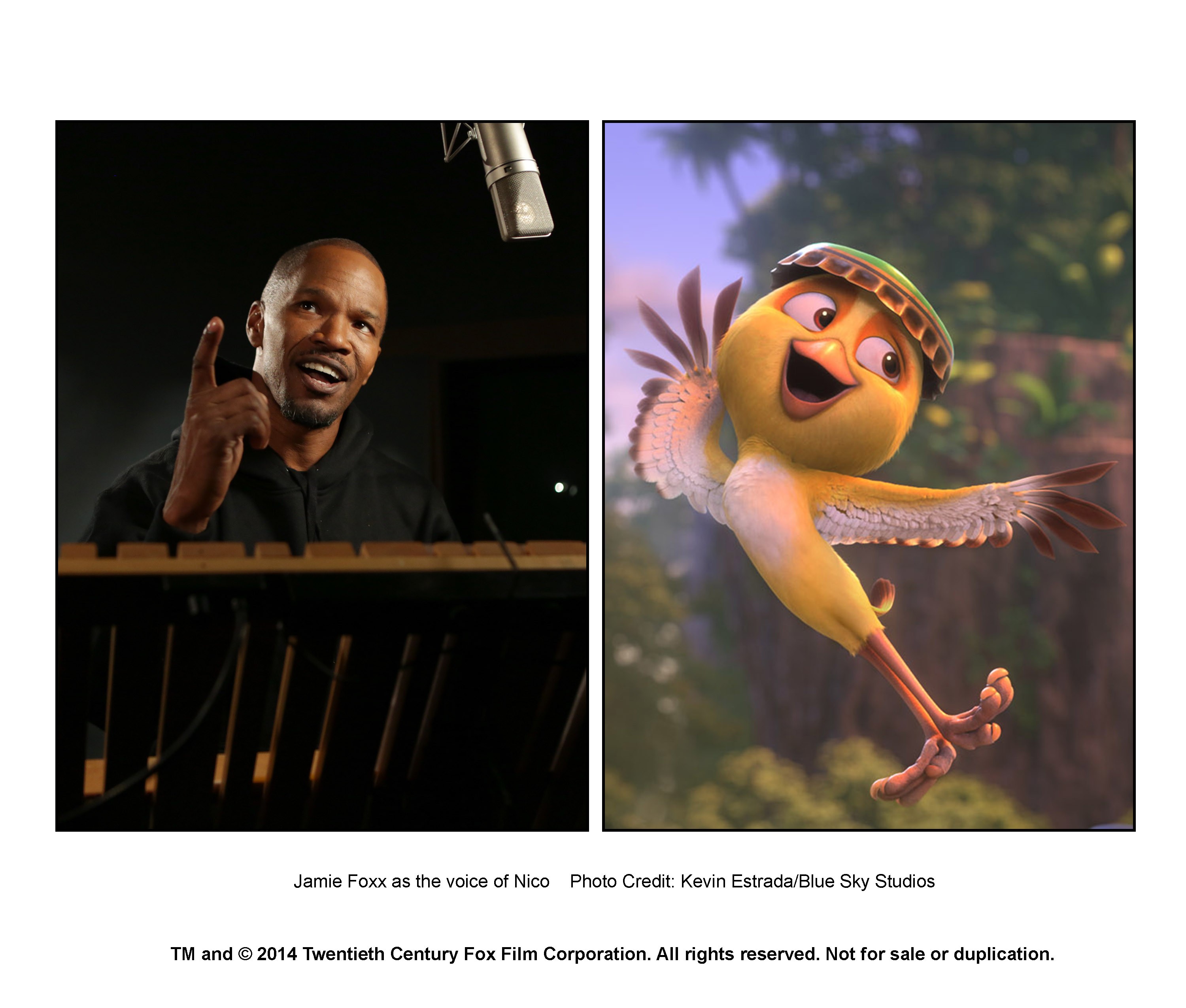 Rio 2 Rotten Tomatoes