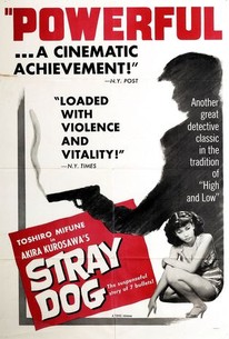 野良犬 / Stray Dog