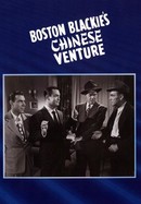 Boston Blackie's Chinese Venture poster image