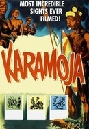 Karamoja poster image