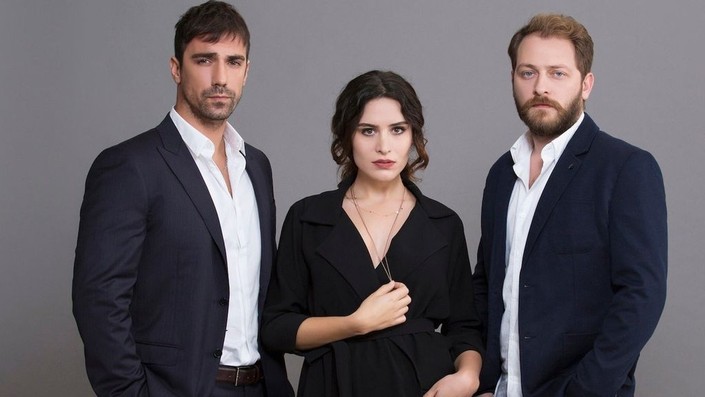 Mushuk va mushuk ortasidagi jinsiy aloqa