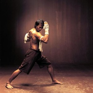 Tony Jaa - Rotten Tomatoes