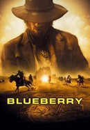 Blueberry poster image