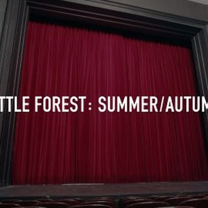 Little Forest: Summer/Autumn photo 8