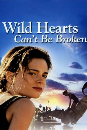 Wild Hearts Can't Be Broken poster