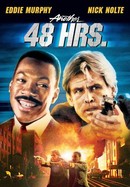 Another 48 HRS. poster image
