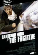 The Fugitive poster image