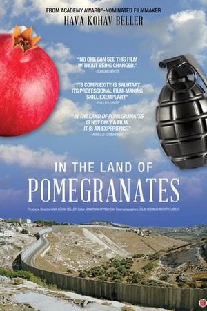 In the Land of Pomegranates poster