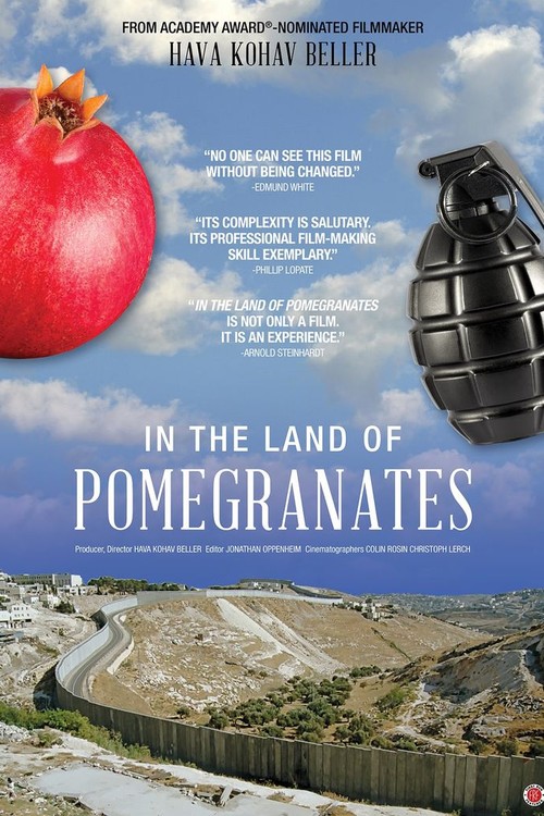 In the Land of Pomegranates poster