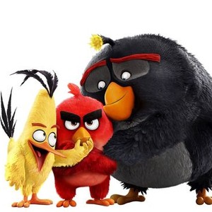 The Angry Birds Movie - Rotten Tomatoes