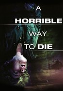 A Horrible Way to Die poster image