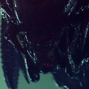 Aliens vs. Predator: Requiem photo 14