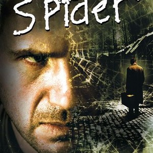 Spider photo 2