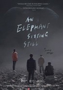 An Elephant Sitting Still poster image