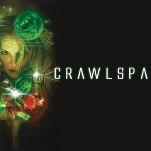 Crawlspace photo 14