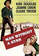 Man Without a Star poster image