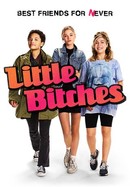 Little Bitches poster image