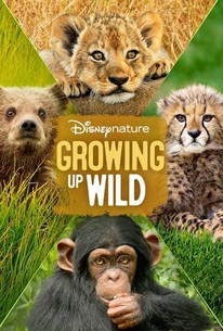 Watch trailer for Growing Up Wild