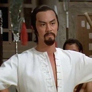 The Kung Fu Instructor (1979) photo 3
