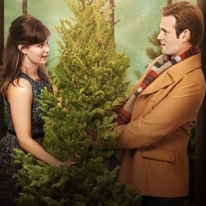 Fir Crazy photo 3